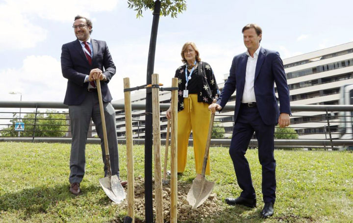 Plantación de las cinco primeras encinas de Chiesi en Pamplona