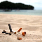 La industria del tabaco, un desastre ambiental
