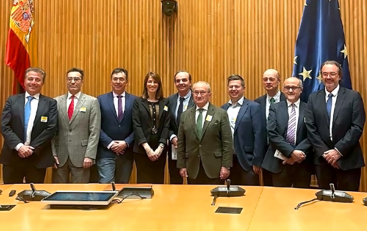 Delegación de la SEO en el Congreso de los Diputados